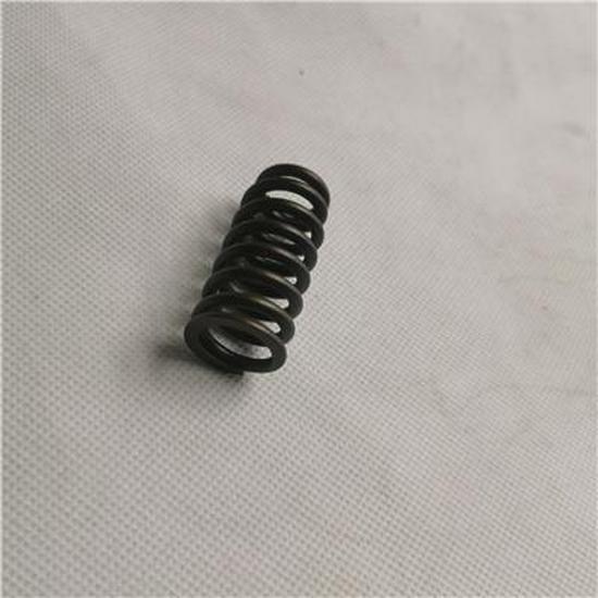 

Foton Valve Spring for SPV10001614E9300 Foton