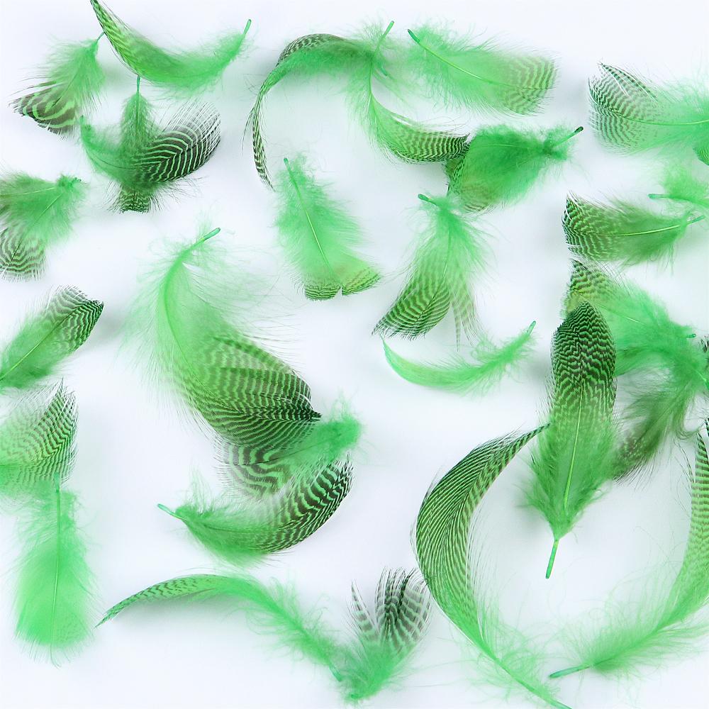 Duck Feather 50Pcs Black Stripe Goose Plumes Decoration For Crafts Artificial Feather 5-10Cm Green Soft Diy Supplies Accessories