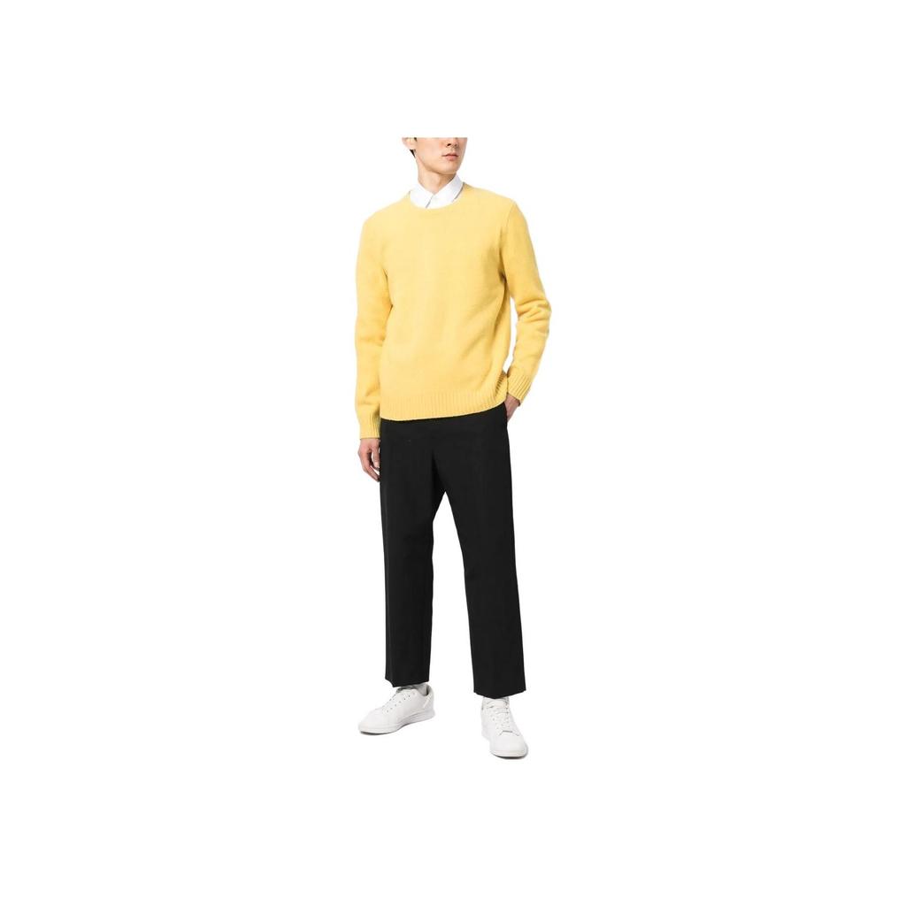 Polo Ralph Lauren SS23 Solid Suede Patch Round Neck Sweater Men sweater Yellow 710881041-003