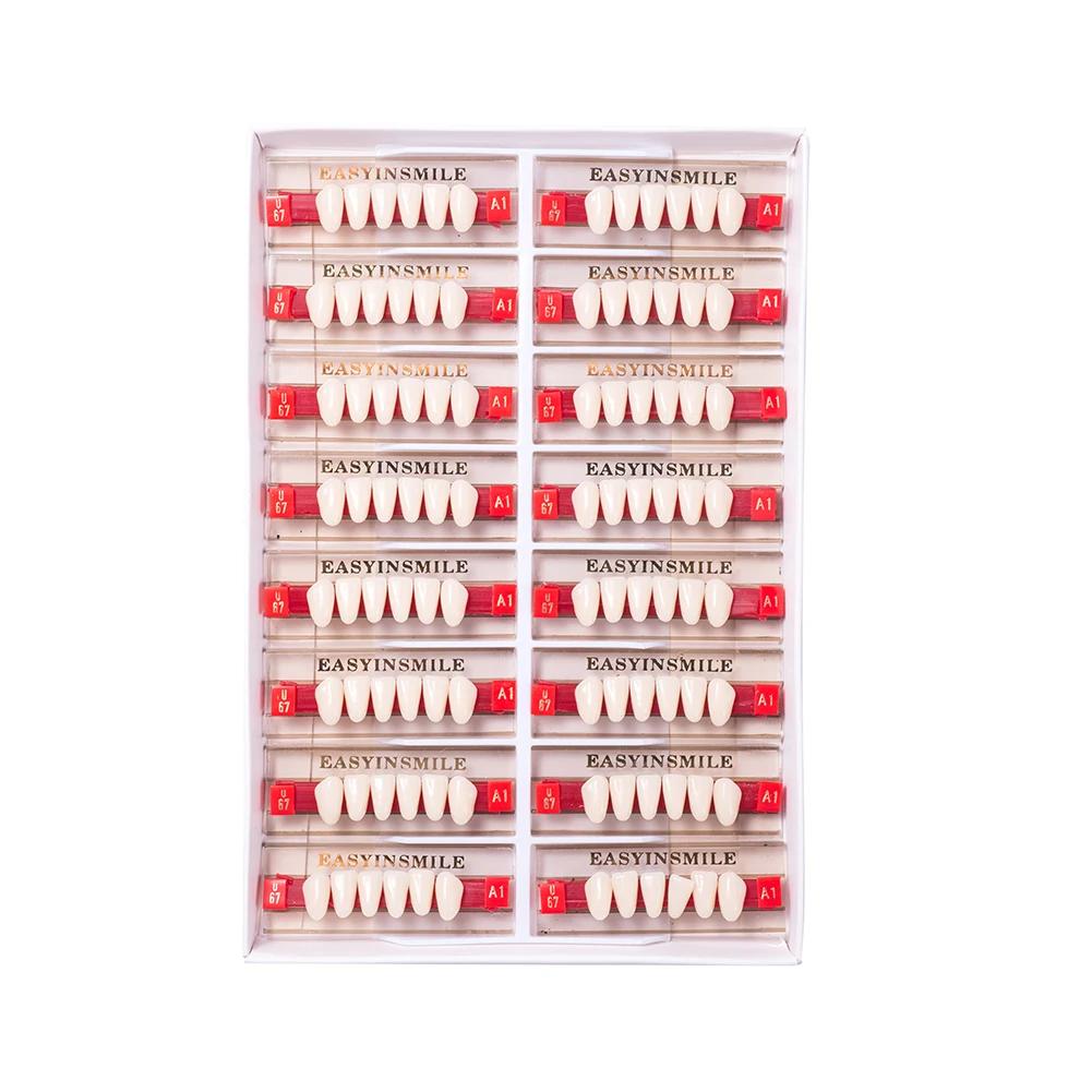 16/12 Sätze/Karton Zahnprothese Zähne Oberkiefer Frontzähne Unterkiefer Seitenzähne Dentier Synthetisches Polymerzähne Zahnmedizinische Ausbildungsmodell