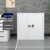 TaiShiTe Password Lock Steel Security Cabinet