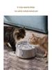 4L Stainless Steel Cat Water Fountain with Window, Automatic Filtration & Purification