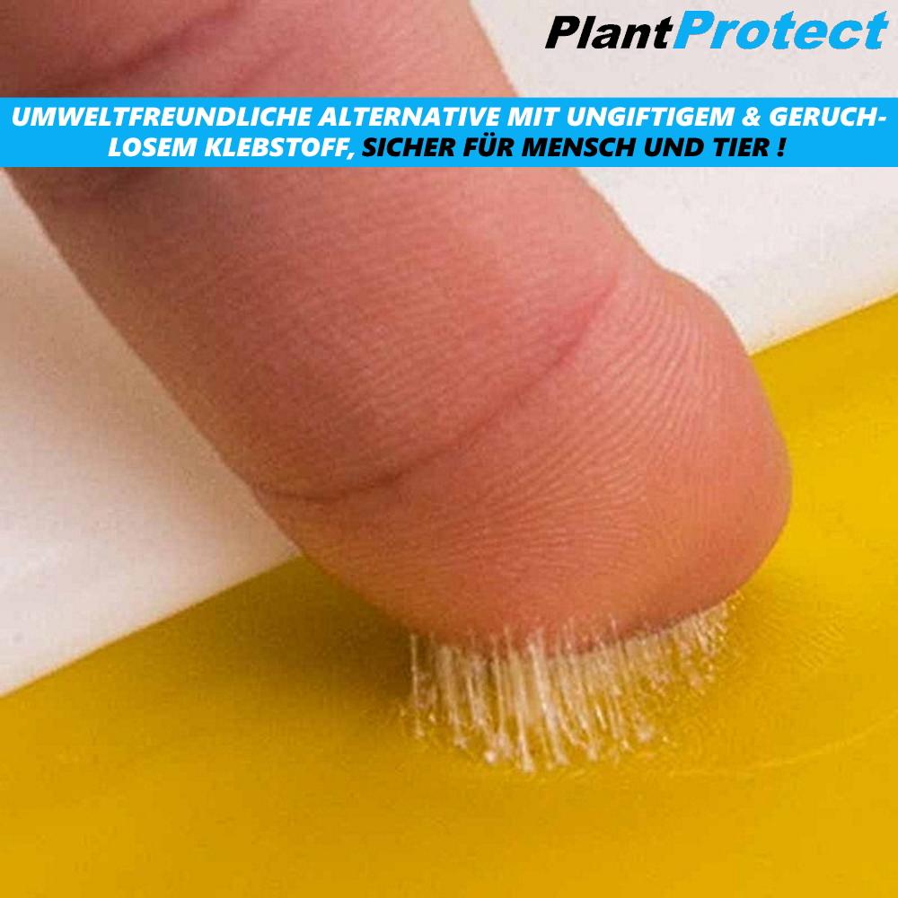PLANTPROTECT Gelbsticker Gelbtafeln Trauermücken Insektenfalle Fruchtliegenfalle