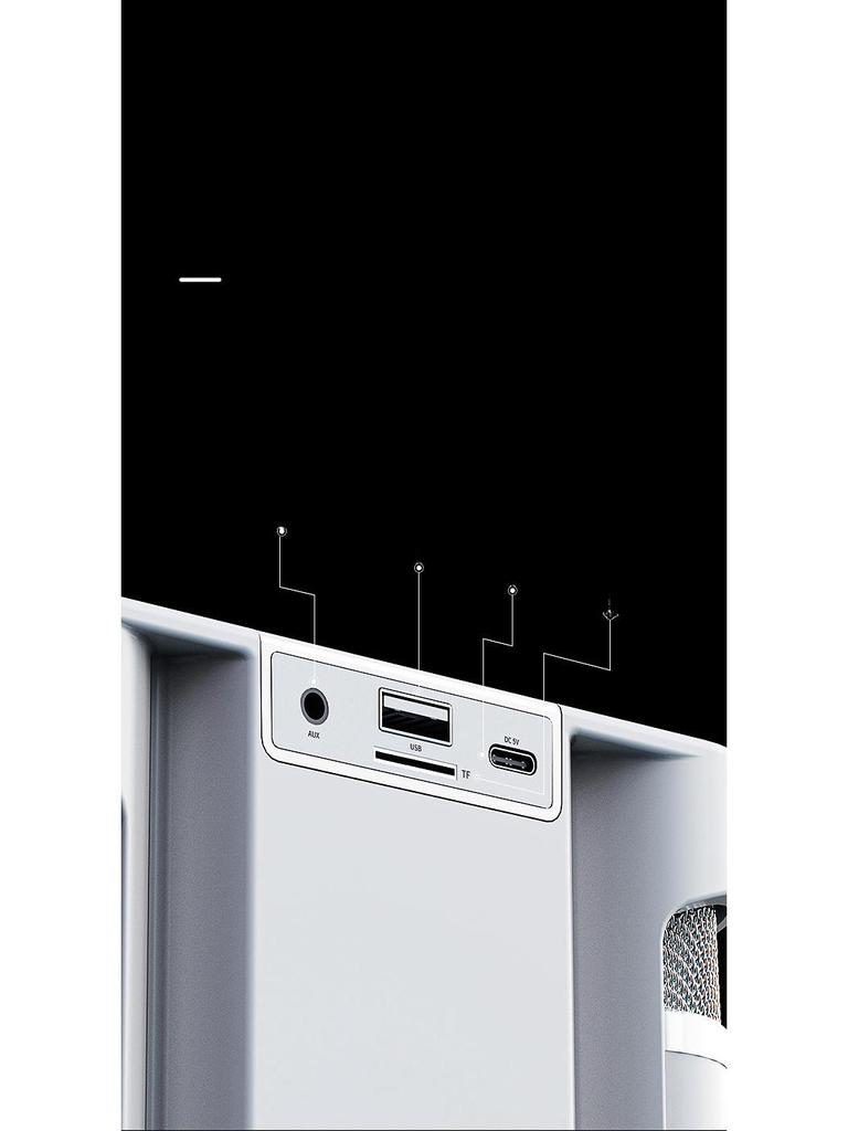 YS203k Bluetooth Karaoke Speaker with Wireless Microphone and Subwoofer