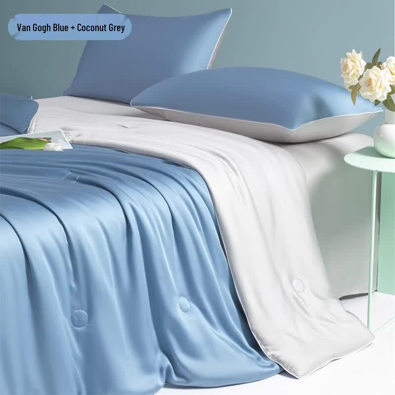 OLOEY Ice Silk Cooling 4-Piece Quilt Set