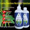 Guaranteed Lucky Bamboo Nutrient Solution: Yellow Leaves Fertilizer for Rooting and Hydroponic or Soil Cultured Plants