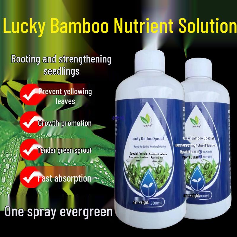 

Guaranteed Lucky Bamboo Nutrient Solution: Yellow Leaves Fertilizer for Rooting and Hydroponic or Soil Cultured Plants Small bottle, Rooting & Fatten Leaves, Trial