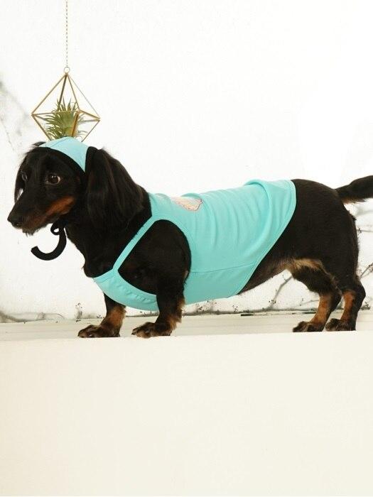 

GRAY CEREAL Shell Swimsuit - Mint XL