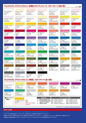 Talens Japan (Talens Japan) Talens Acrylic Gouache Amsterdam Acrylic Gouache 12-Color Set AAG-12 20ml (No. 6)