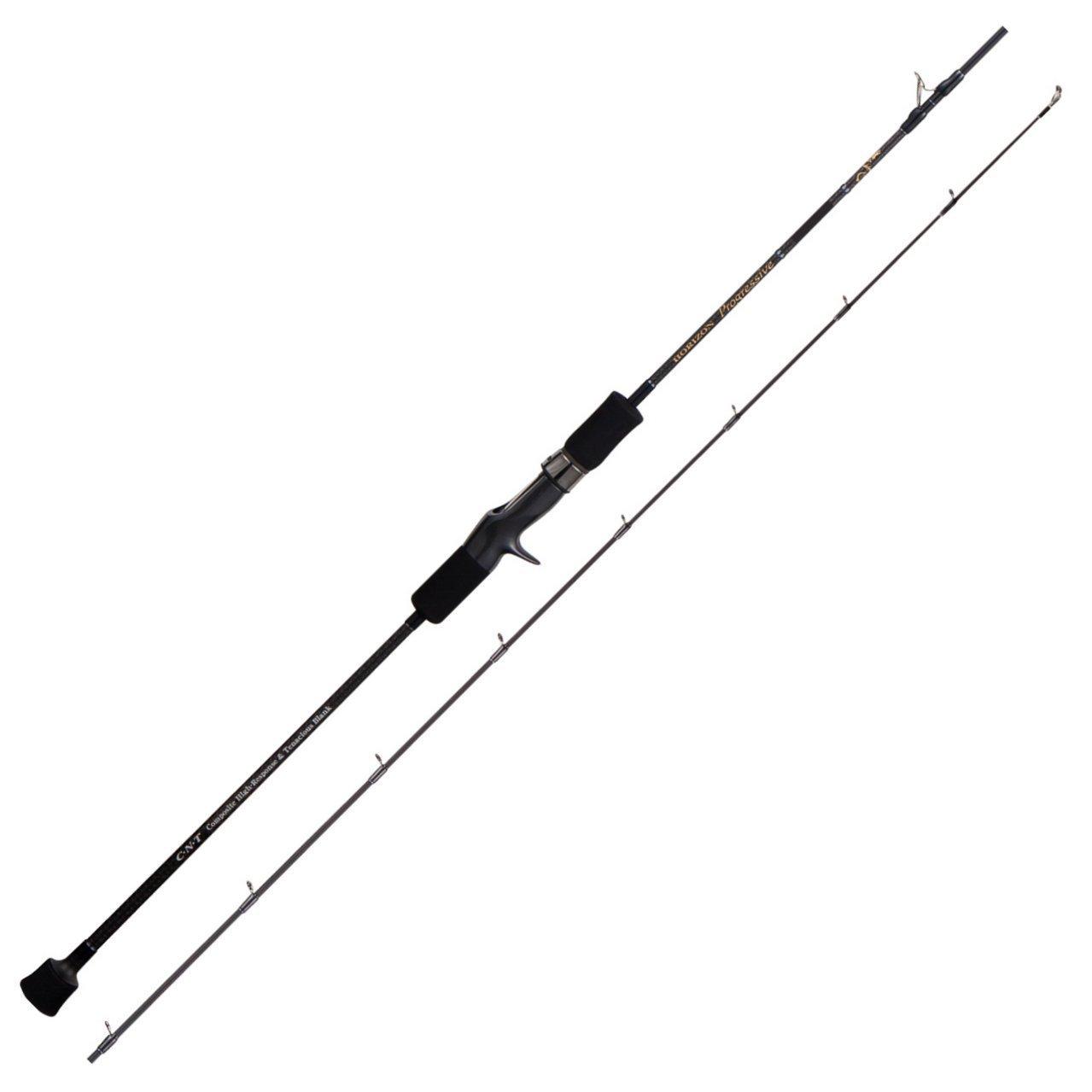 

TENRYU Horizon Progressive HPG66B-H 6 6