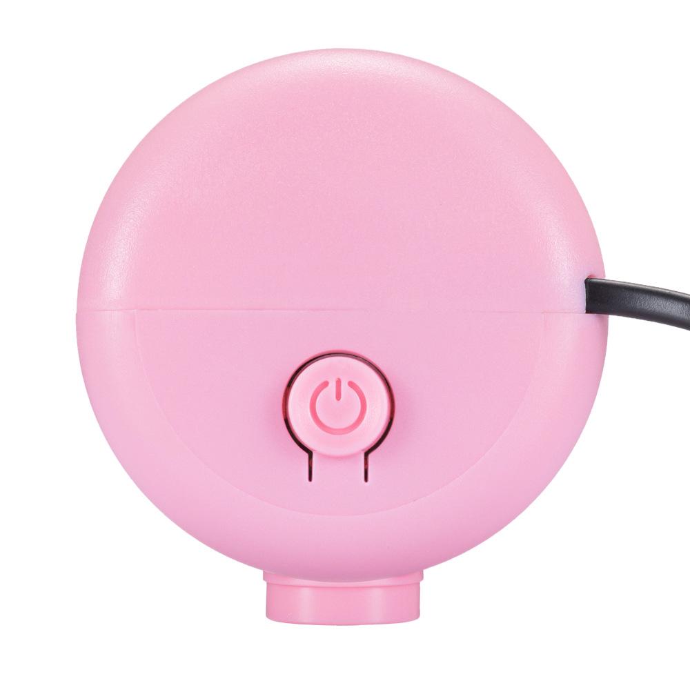 Electric Vacuum Pump for Household Storage Bags