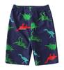 European & American Boys' Dinosaur Print Quick-Dry Sun Protection Swimsuit Set (Swim Shorts + Two Tops)