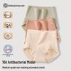 Herbal Original Color Women's Modal Antibacterial High-Waist Tummy Control Briefs
