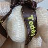 [USED] Anonymous shipping: Teddy bear plush toy