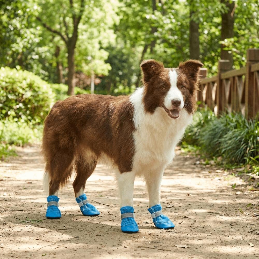 4PCS/SET Wear-Resistant Dog Sneakers Breathable Pet Footwear Dog Boots Dog Foot Covers  Training