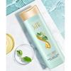 Slek Green Tea Seed Shampoo