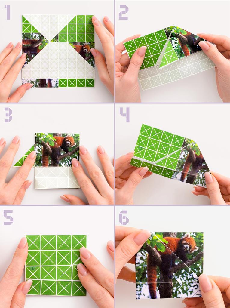 FOLDOLOGY Origami Puzzle Game FY01 Authentic
