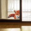 Cute Peeking Red Fox Big Tail Static Cling Wall Sticker for Bedroom Home Decor