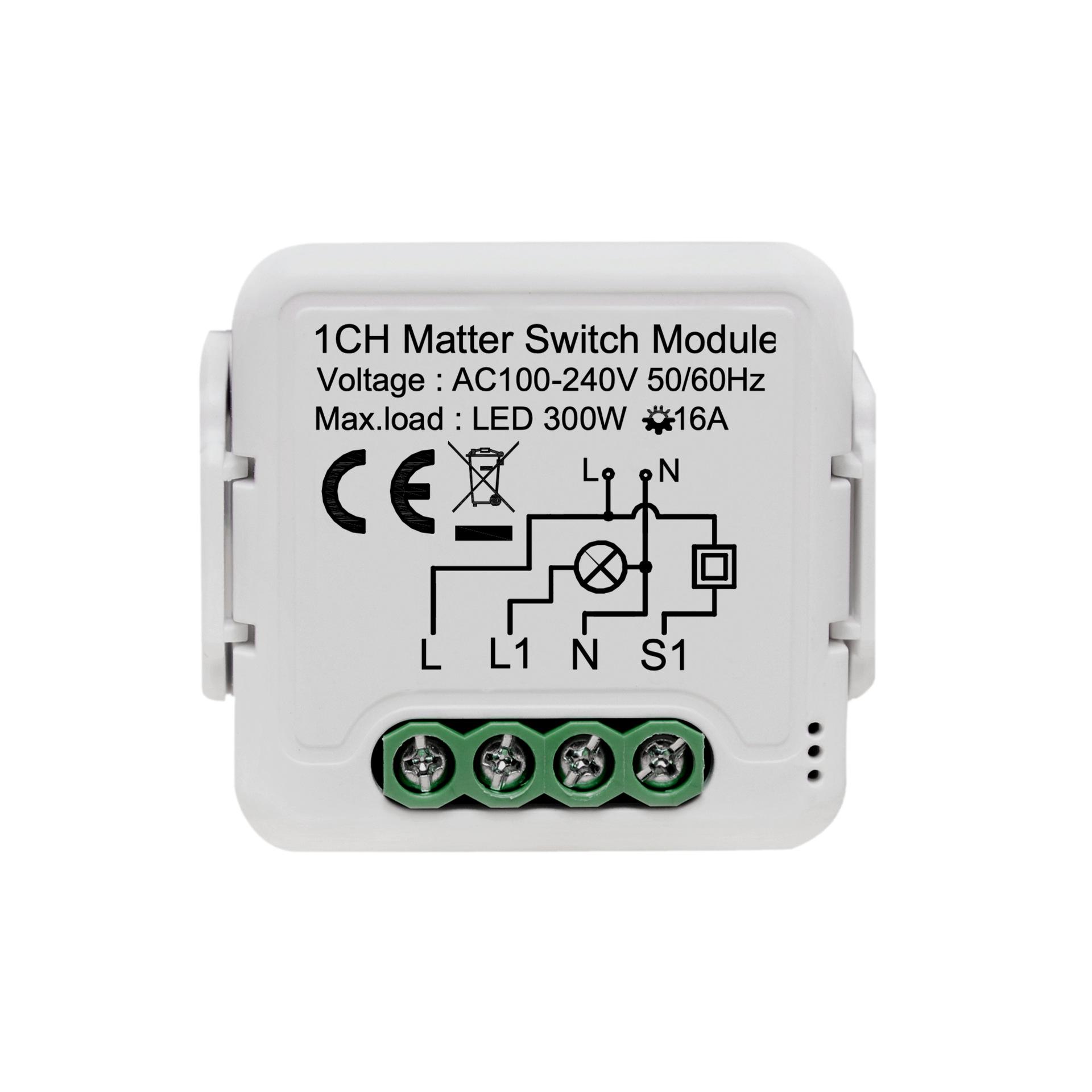 Smart Switch with Alexa & HomeKit Voice Control for Mobile Remote Use
