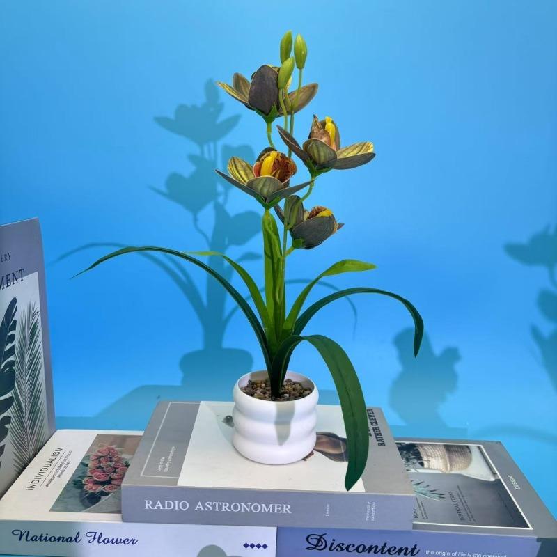 

Четырехцветковый Хуэйлань Камень Дождя Бонсай Искусственные Цветы Украшения Пленочная Печать Искусственные Цветы Зеленые Растения и Горшечные Растения чёрный/зелёный