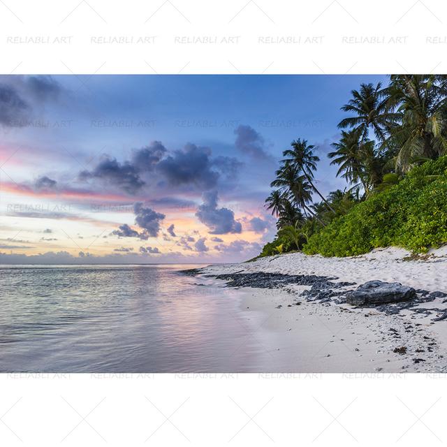 Seaside Beach Palm Tree Coconut Tree Poster Landscape Pictures for Living Room Canvas Painting Prints Modern Home Decor Wall Art
