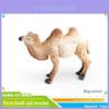 Wildlife Animal Model Set Pvc Camel Giraffe Educational Collectible For Kids Nature Learning