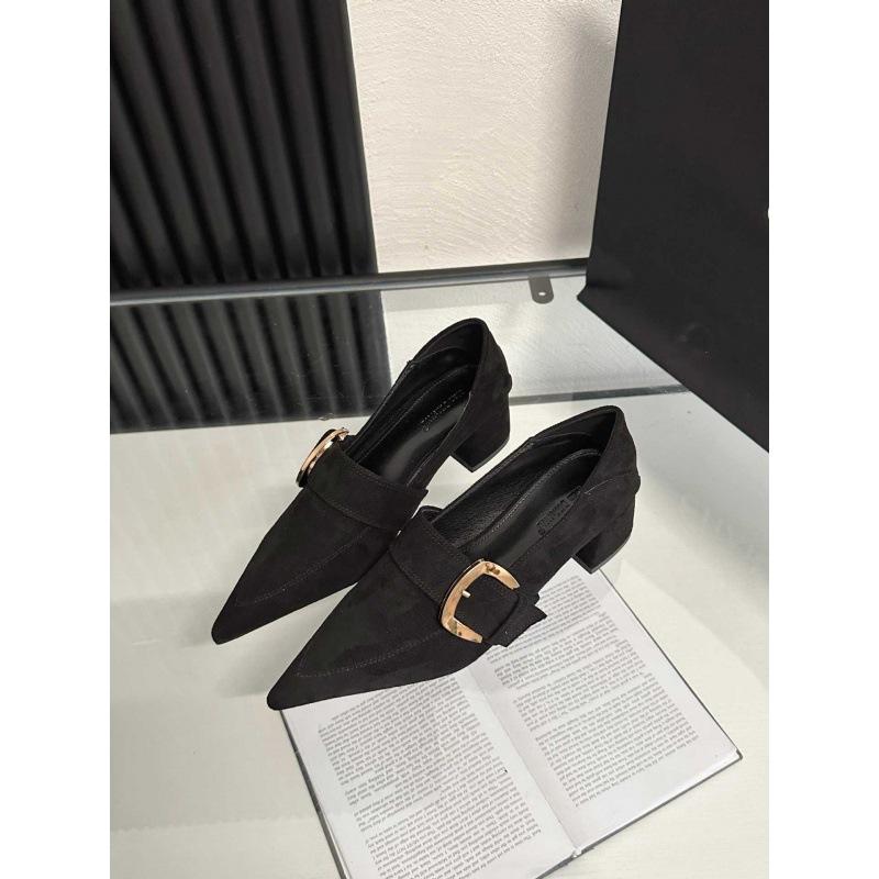 

2025 spring and autumn new high-end temperament pointed head versatile thick heel metal square buckle versatile single shoes women 39