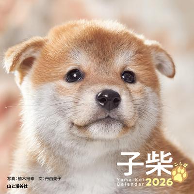 2026 Calendar Koshiba Calendar (Monthly/Desktop/Ring/Shiba Inu) (Yamakei 2026)