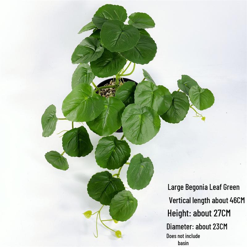 Wandmontierte Monstera-Ranke für die Innendekoration: Hängende Efeutute und laminierte grüne Zweige