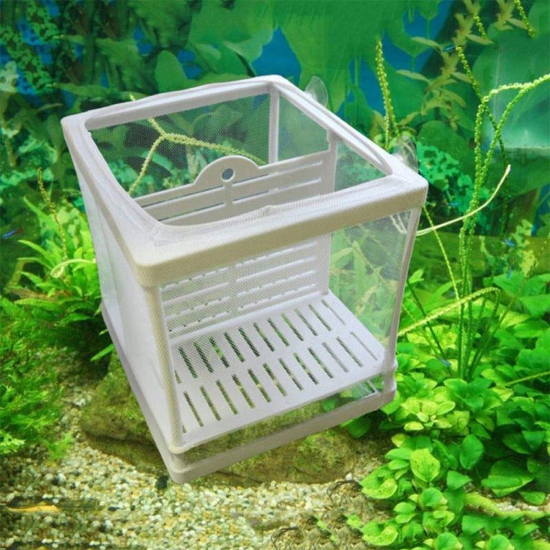 Breeding box. Breeding box