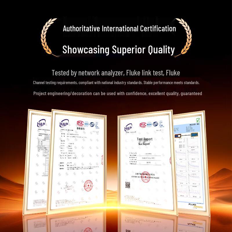 Shengwei High-Speed CAT6/6A/7/8 Ethernet Network Cable