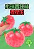 1Pcs Colorful Bead Stress Ball, Tomato Tomato Squeeze Water Toy,Office Desk Decompression Sensory Fidget Gift for Anxiety Relief