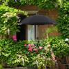 Adjustable Plant Shade Umbrella for Beach Chair And Garden Beds