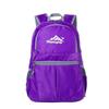 Lightweight Folding Backpack Wear Resistant Splash Proof Printed Travel Bag