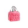 Insulated Lunch Bag with Zipper Closure and Dual Handles Lightweight Portable Thermal Tote for Food Storage and Travel
