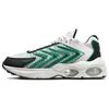 Air Max TW 'Summit White Malachite' DQ3984-106