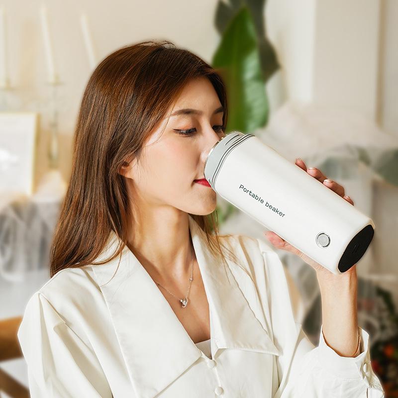 Electric Water Cup Household Portable European Standard Car 12V/24V Electric Kettle