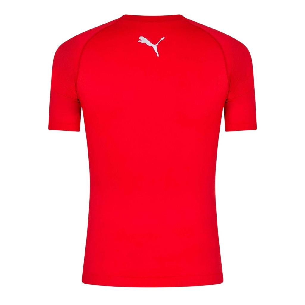Puma Mens Performance Plain Round Neck Athletic T-Shirt