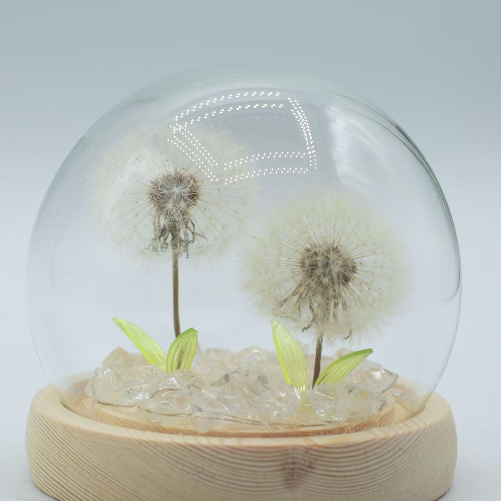 Floral Glow Garden Dome – 2 Dandelions – LED USB