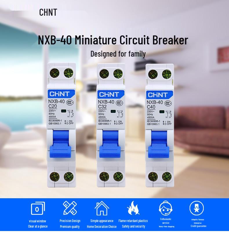 Chint 1P+N Miniature Circuit Breaker with 220V RCD Leakage Protection