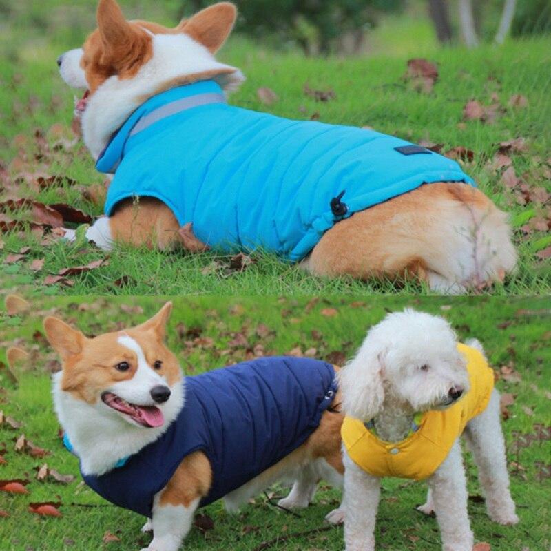 medium dog coat