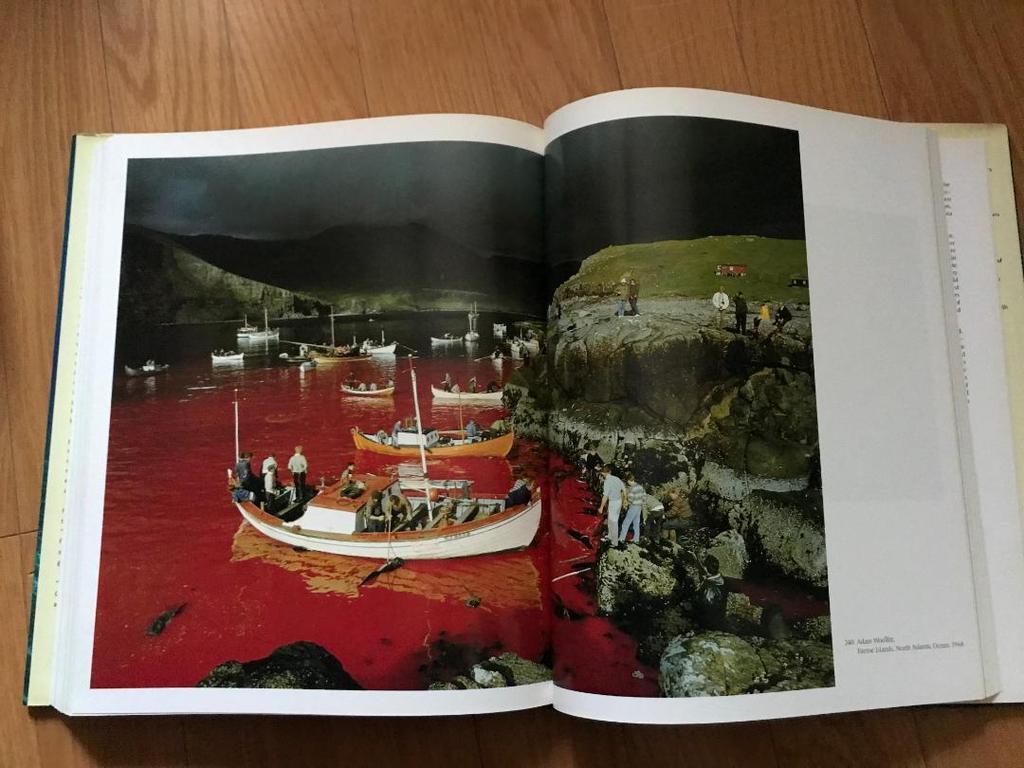 [USED] Odyssey National Geographic Photo Collection