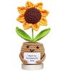 Poupée Cactus en Laine au Crochet Faite à la Main Ornement de Plante - Tournesol, Rose, Tulipe