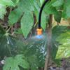 20Pcs Micro Refracting Sprinkler Hose Pipe Nozzle Seedlings Greenhouse Garden Flower Plant Micro Atomization Irrigation Nozzle