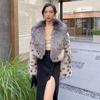 Autumn and Winter Faux Fox Fur Wild Fur Coat Women's Short Silver Fox Color with Hair Collar Tops