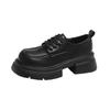 Thick heel platform women's 2024 new retro fashion temperament casual single shoes lace-up small leather shoes tide
