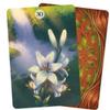 Herbs and Plants Lenormand Oracle Cards 36 Pcs Cards with Vivid Colors and Splendid Symbolism 10.4*7.3cm
