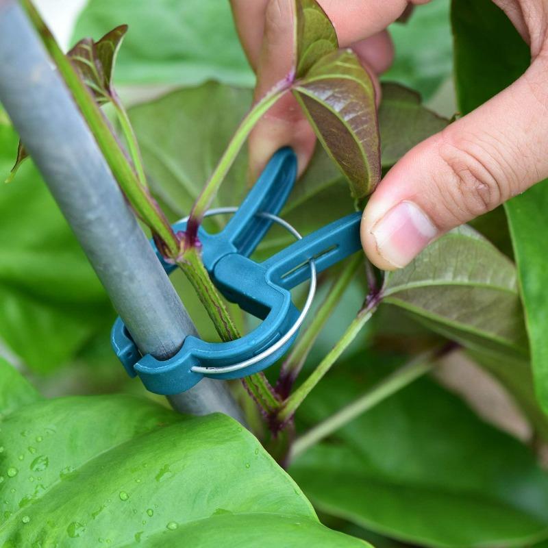 100/20pcs Plant Fixed Clips Garden Reusable Bracket For Flower Vine Vegetable Seedling Tomatoes Support Fastener Garden Supplies