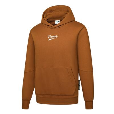 Puma Hooded Pullover Long Sleeve Sweatshirt Men Sweatshirt Brown Red 536786-98