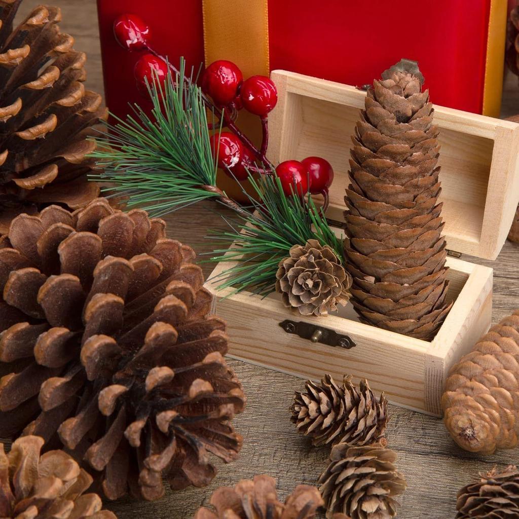 20PCS Natural Pinecone Ornaments, Pine Cones Bulk Natural Pinecones Assortment for Fall Winter Christmas Bowl Fillers (Natural)
